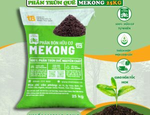 san-xuat-phan-huu-co-03